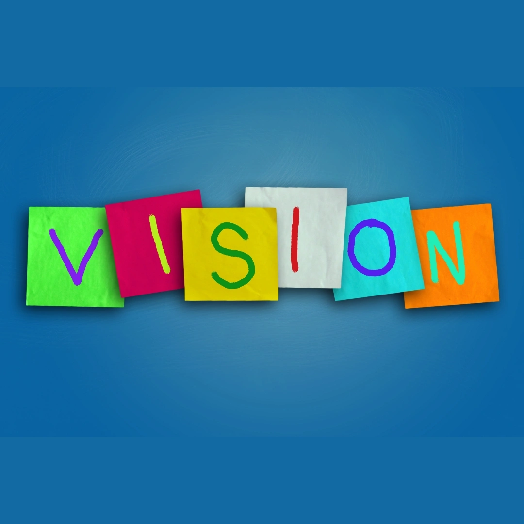 vision
